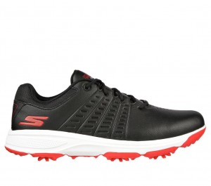 Black Skechers Go Golf Torque 2 Men's Walking Shoes | JVHN-31502